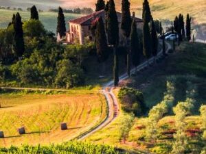 Tourism with Roberto 10 ore